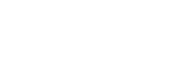 Logo Hospital Città Vet